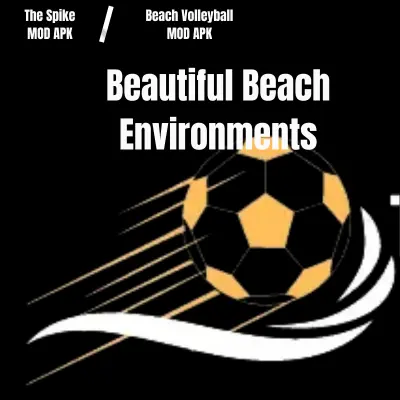 Beautiful Beach Environments