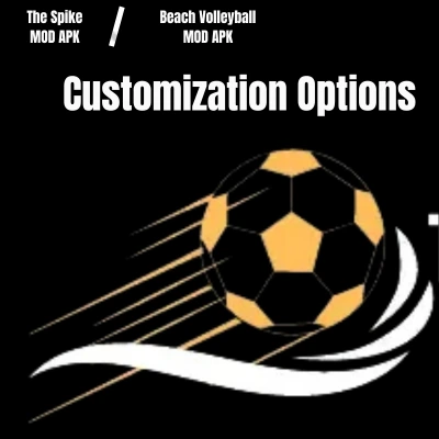 Customization Options