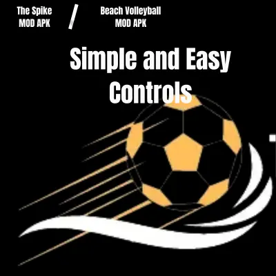 Simple and Easy Controls