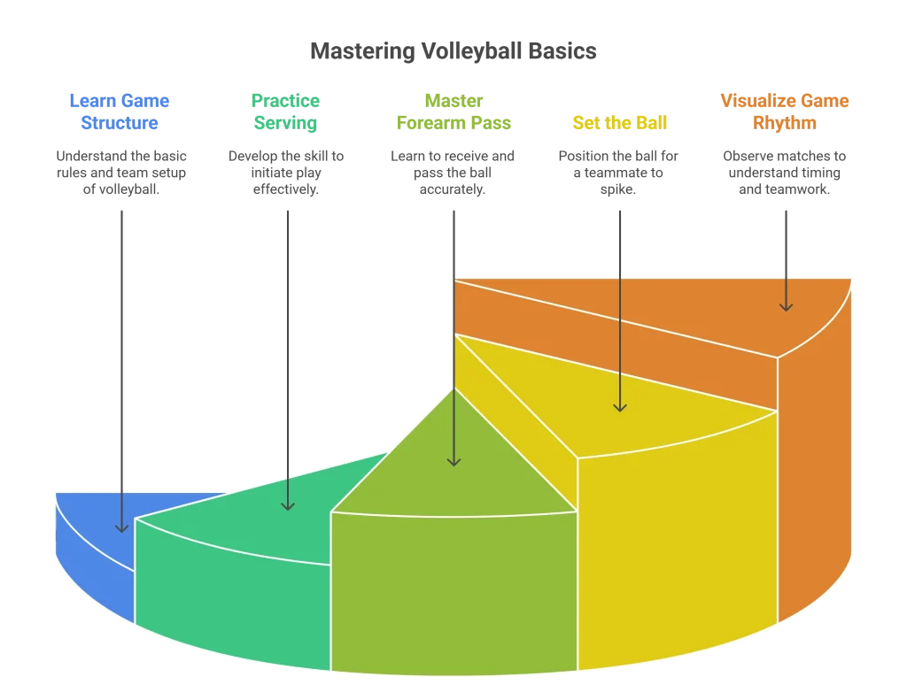 Learning the Basics of Volleyball 