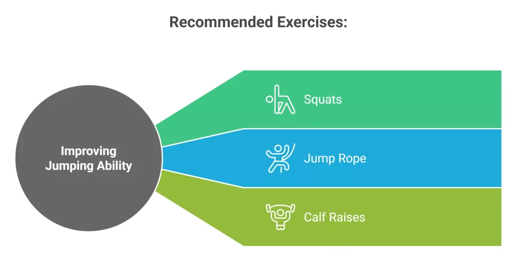 Recommended Exercises: